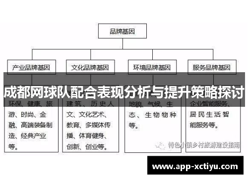 成都网球队配合表现分析与提升策略探讨