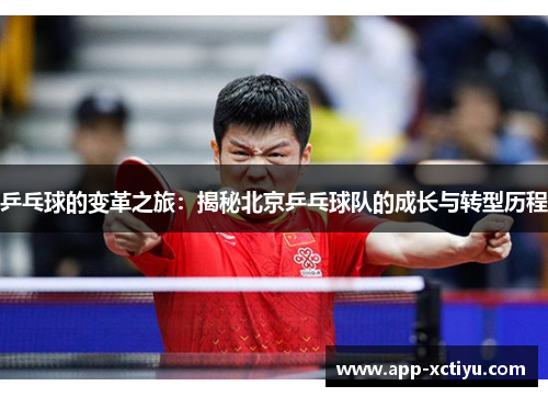 乒乓球的变革之旅：揭秘北京乒乓球队的成长与转型历程