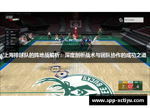 上海排球队的阵地战解析：深度剖析战术与团队协作的成功之道